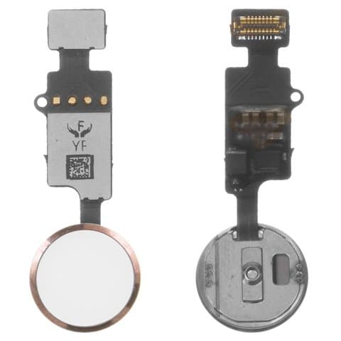 ����� Apple iPhone 7, iPhone 7 Plus, iPhone 8, iPhone 8 Plus, iPhone SE 2020, ������ Home, �������, � ���������, ��� ������� ��������� ������� (��� Touch ID)