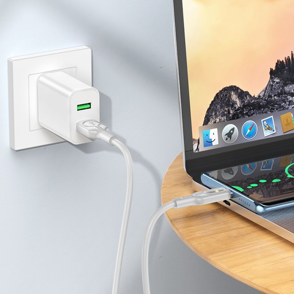 USB-������ Hoco U120, Type-C, 100 ��, ����