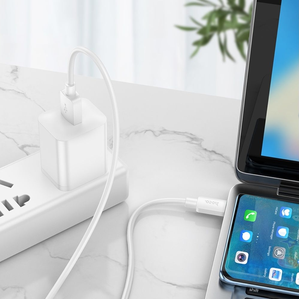 USB-������ Hoco X96, Type-C, Power Delivery (100 ��), 100 ��, ����