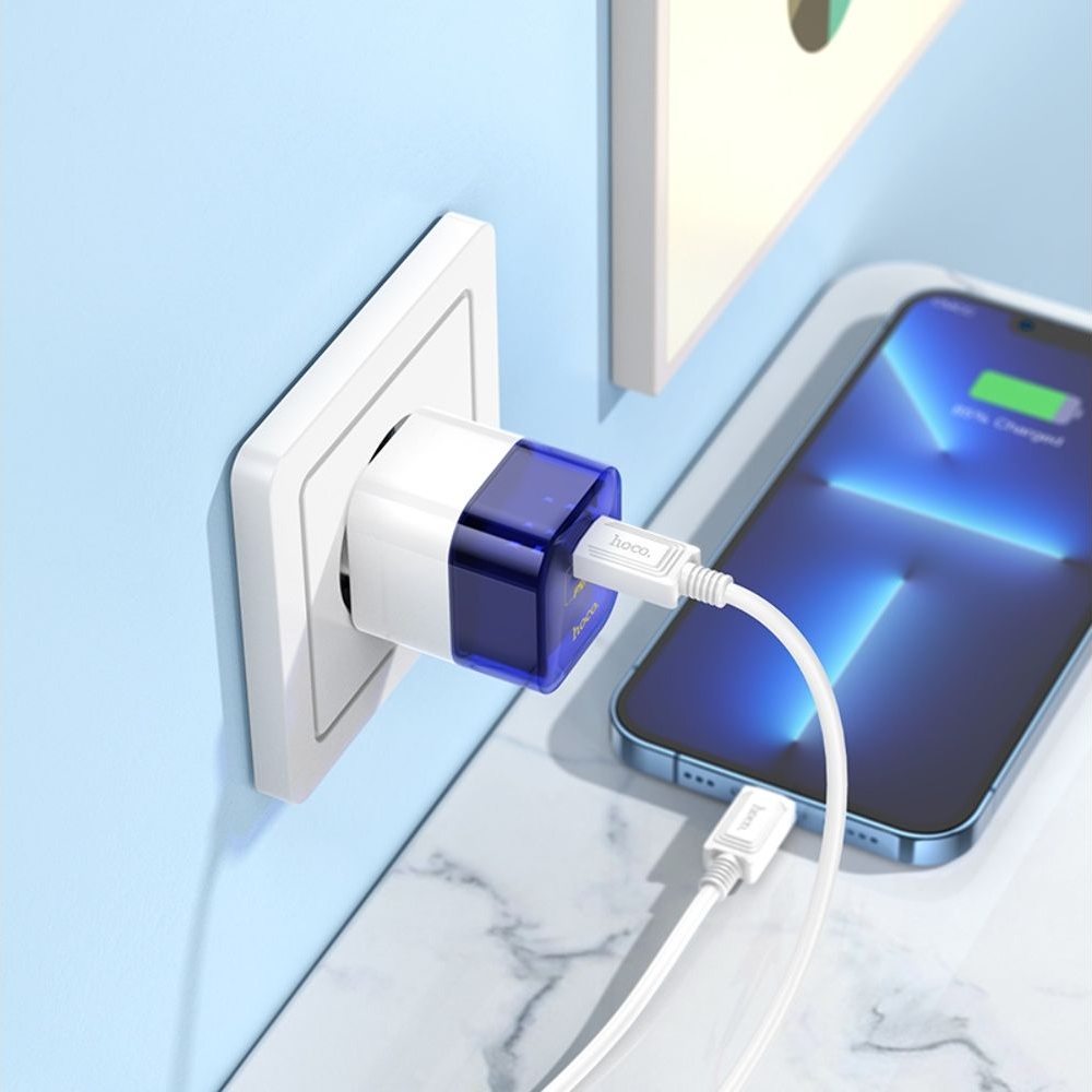 ������� �������� ���������� Hoco C125A, Type-C, �����, � ������� Type-C �� Lightning