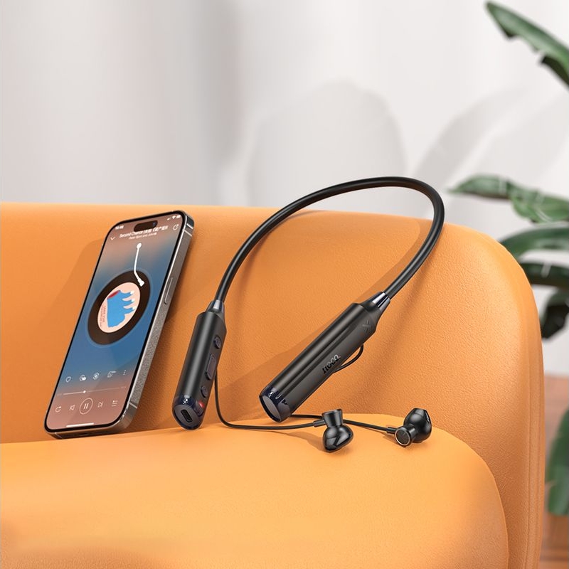 �������� ������������ �������� Hoco DM42, ������