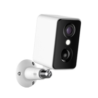 IP-������ ��������������� Smarteye 806RTD �����