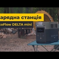 �������� ������� EcoFlow DELTA mini (882 ��/�)